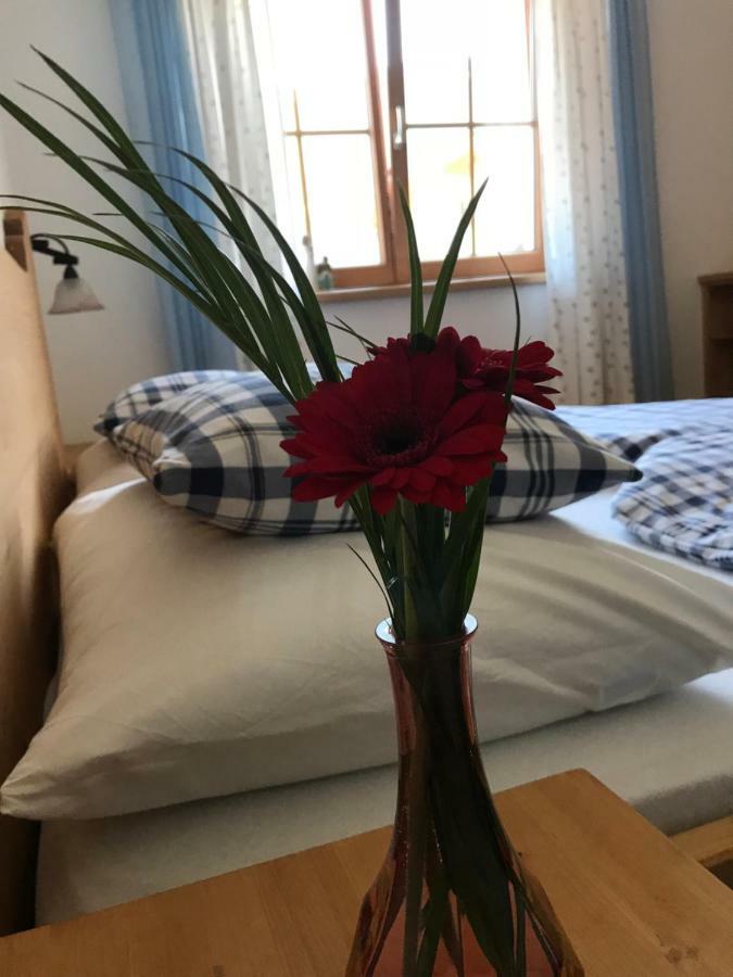 Ferienwohnung Gruber-Hansen Kaltenbach Zewnętrze zdjęcie